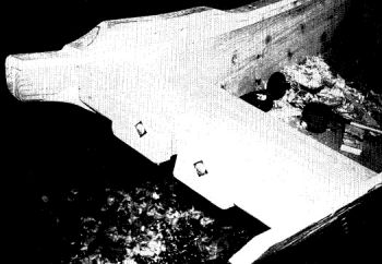 z1041_03.jpg