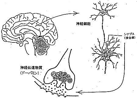 z0049_01.jpg