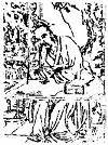 z0019_02.jpg