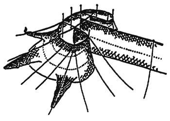 z1040_02.jpg