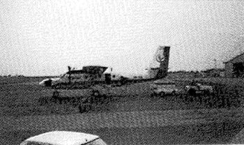 z0019_03.jpg