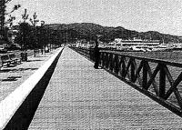 z1009_02.jpg