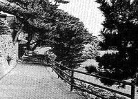 z1009_03.jpg