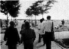 z1036_02.jpg