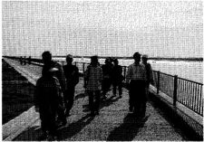 z1036_04.jpg