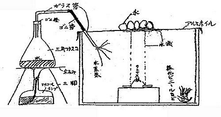 z0048_01.jpg