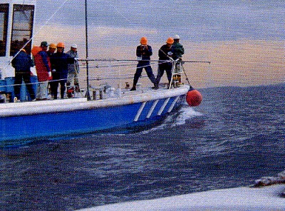 z1079_01.jpg