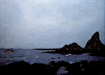 z1069_02.jpg