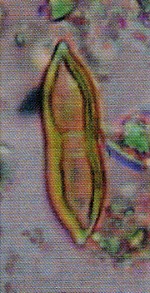 z1023_01.jpg