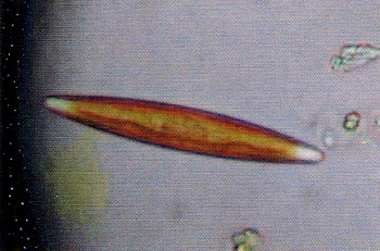 z1023_04.jpg