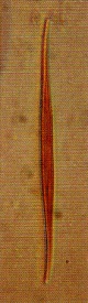 z1023_05.jpg