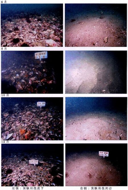日本財団図書館(電子図書館) 閉鎖性水域の環境改善の基礎となる環境要因の調査研究とそのデジタル化情報の提示(平成13年度 報告書)