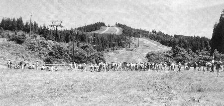z0142_01.jpg