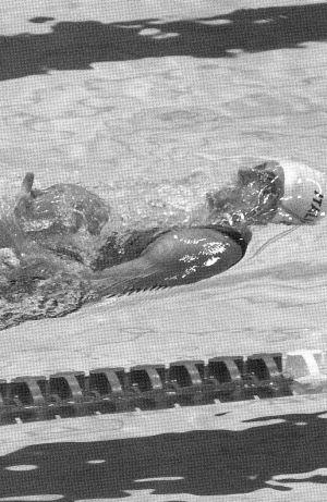 z0145_01.jpg