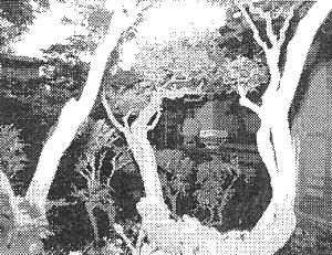 z0091_06.jpg